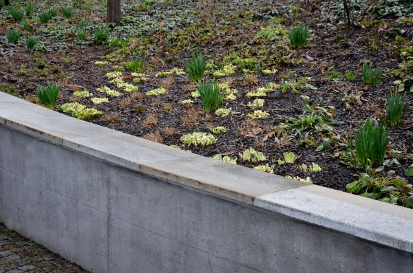 Concrete Wall Construction in Rocklin