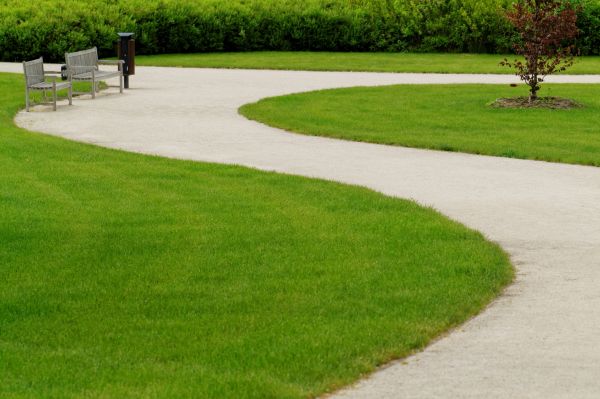 Cost of Sidewalk Concrete Service in Rocklin
