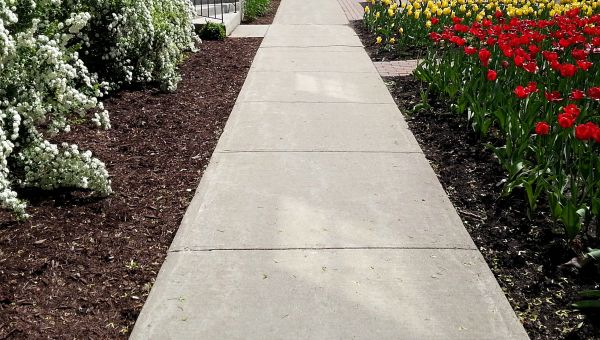 Cement Sidewalk Installation in Rocklin