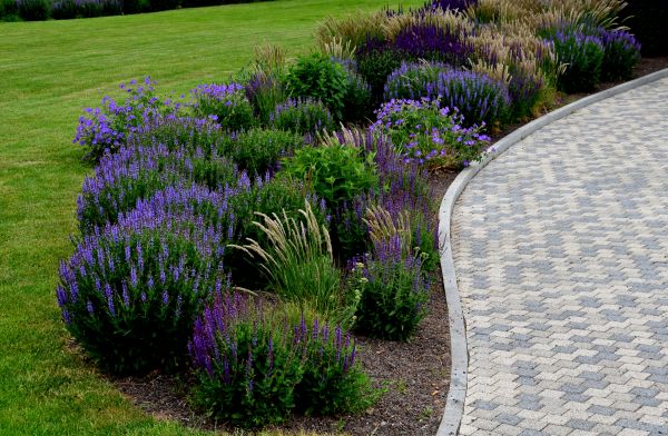 Sidewalk Curb Installation in Rocklin