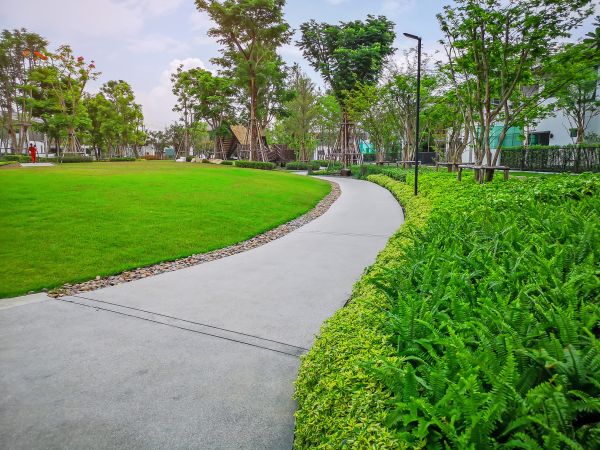 Cement Walkway Service in Rocklin