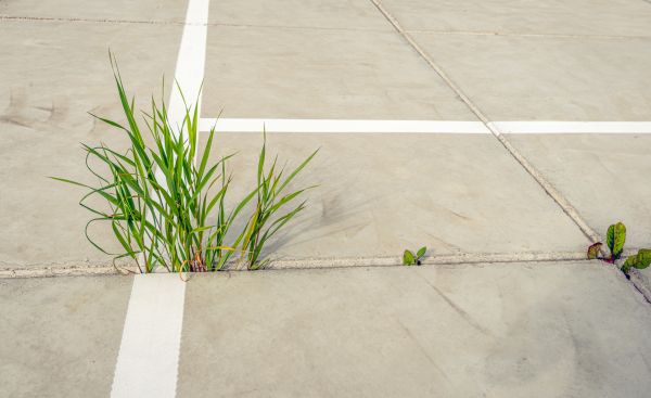 Concrete Parking Installation in Rocklin