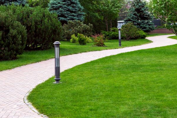 Backyard Sidewalk Installation in Rocklin