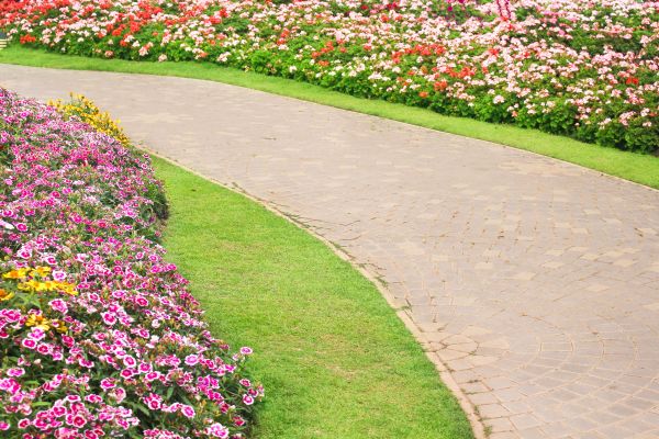 Concrete Walkway Service in Rocklin
